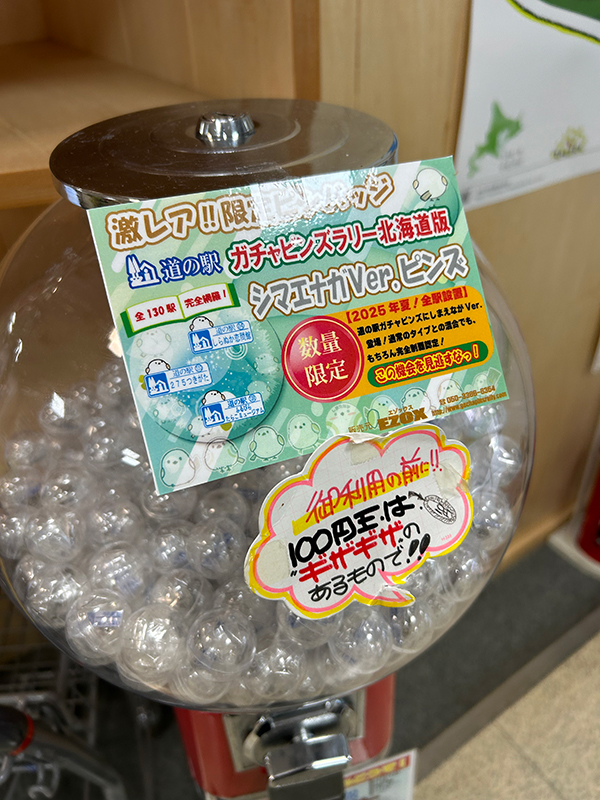 北海道国道ピンズ達成者