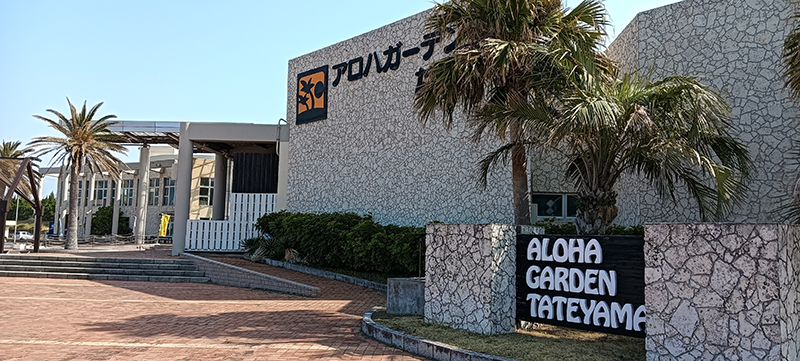 2025年度 千葉版 ガチャピンズラリー達成者