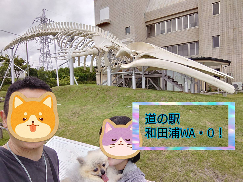 2025年度 千葉版 ガチャピンズラリー達成者