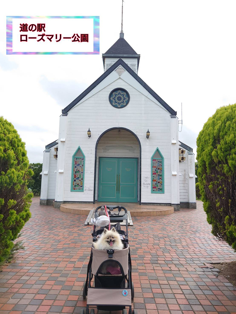 2025年度 千葉版 ガチャピンズラリー達成者