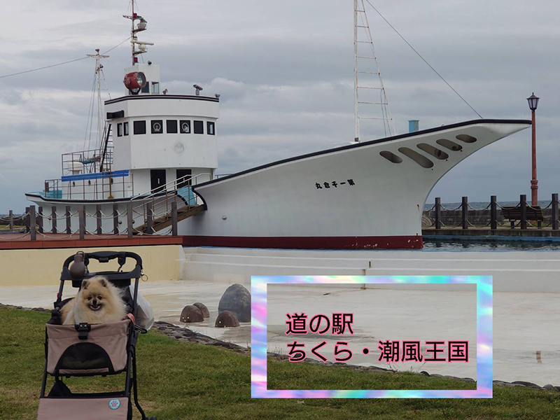 2025年度 千葉版 ガチャピンズラリー達成者