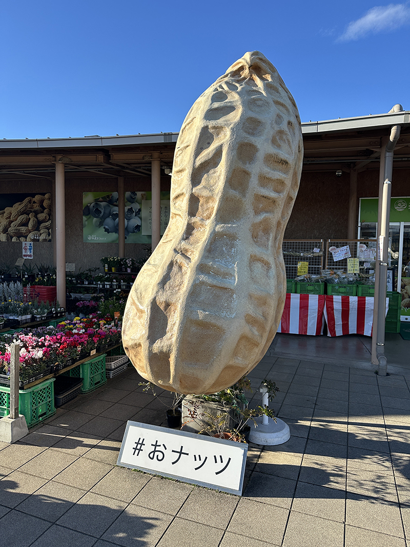 2025年度 千葉版 ガチャピンズラリー達成者