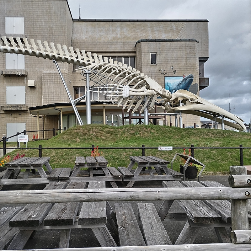 2025年度 千葉版 ガチャピンズラリー達成者