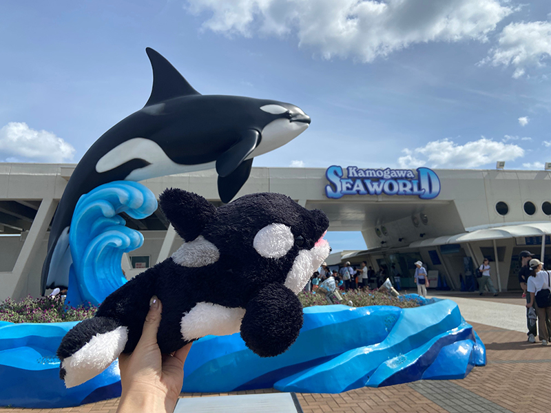 2025年度 千葉版 ガチャピンズラリー達成者