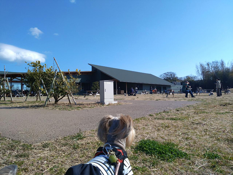 2025年度 千葉版 ガチャピンズラリー達成者