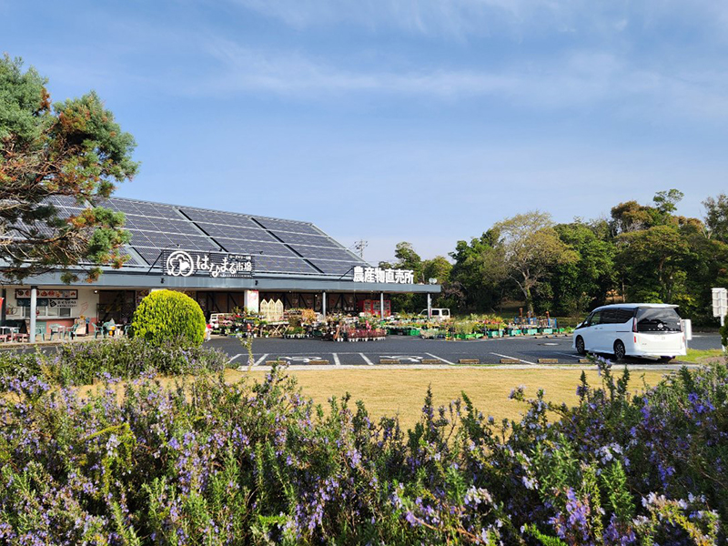 2025年度 千葉版 ガチャピンズラリー達成者