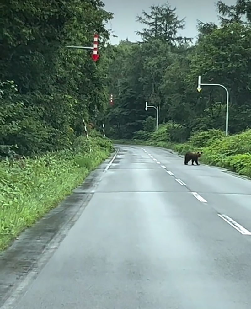 2024年度 北海道版 ガチャピンズラリー達成者