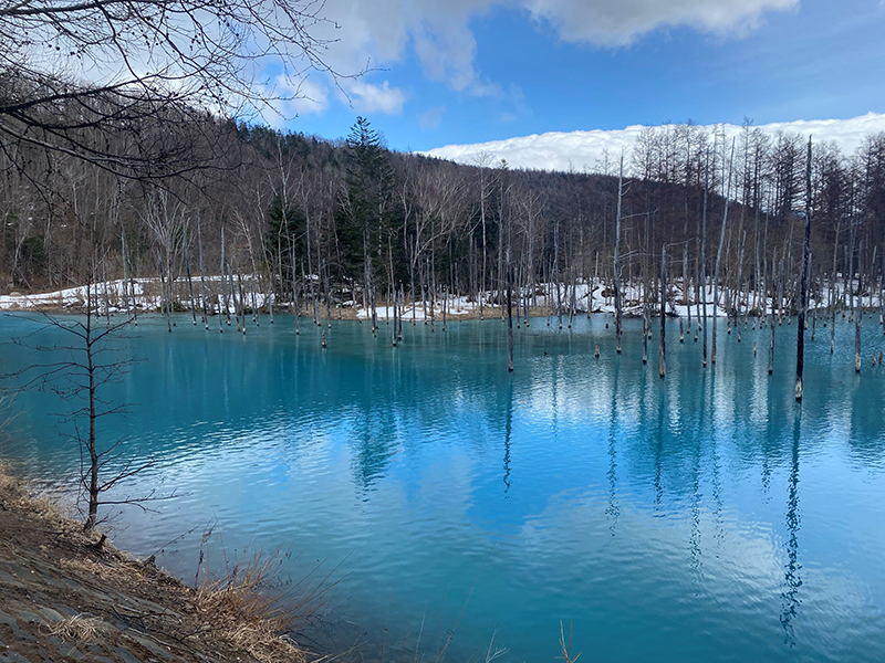 2025年度 北海道版 ガチャピンズラリー達成者
