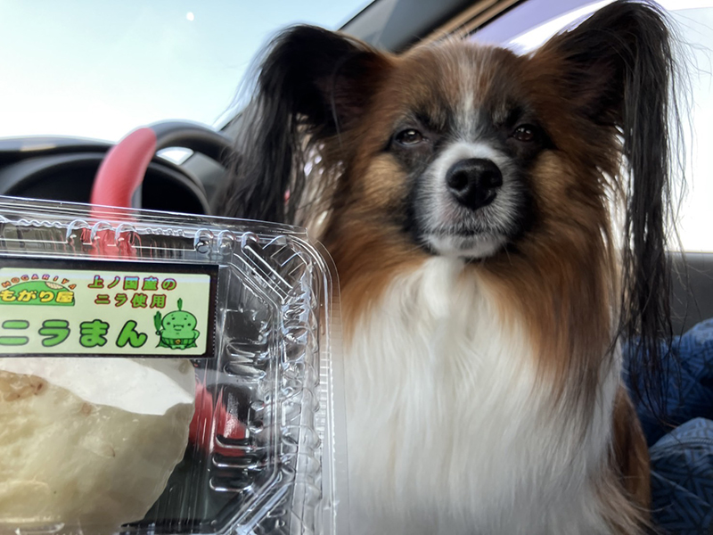 2025年度 北海道版 ガチャピンズラリー達成者