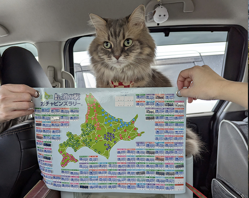 2025年度 北海道版 ガチャピンズラリー達成者