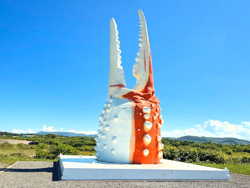 2025年度 北海道版 ガチャピンズラリー達成者