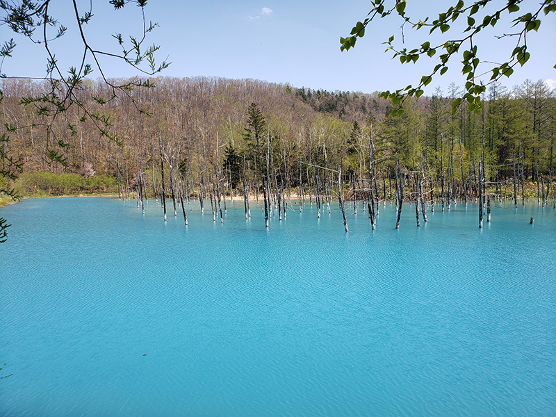2025年度 北海道版 ガチャピンズラリー達成者