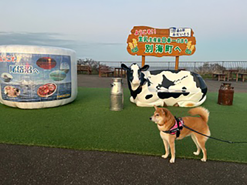 2025年度 北海道版 ガチャピンズラリー達成者