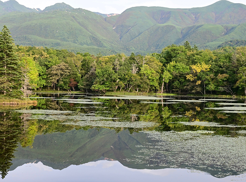 2025年度 北海道版 ガチャピンズラリー達成者