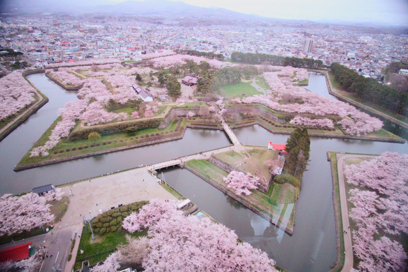 2025年度 北海道版 ガチャピンズラリー達成者