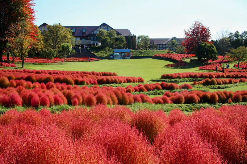 2025年度 北海道版 ガチャピンズラリー達成者