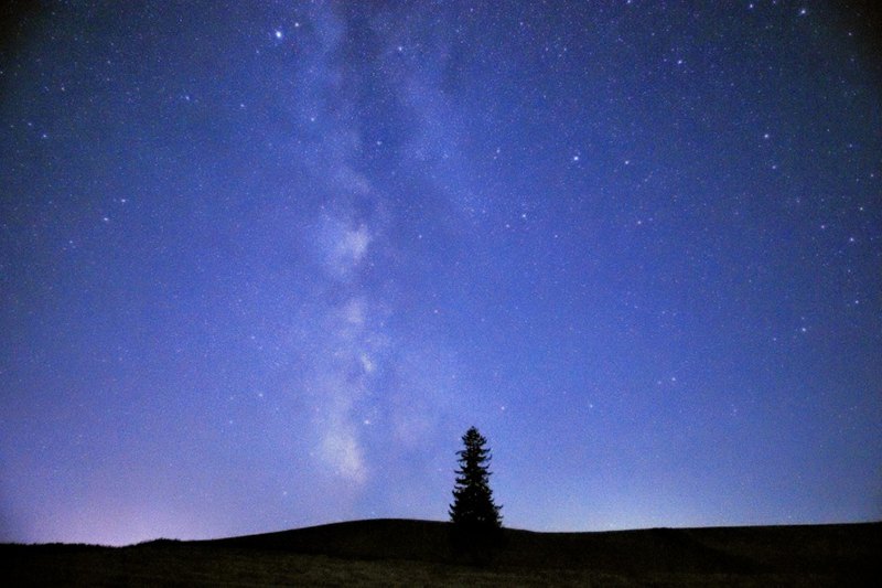 2025年度 北海道版 ガチャピンズラリー達成者