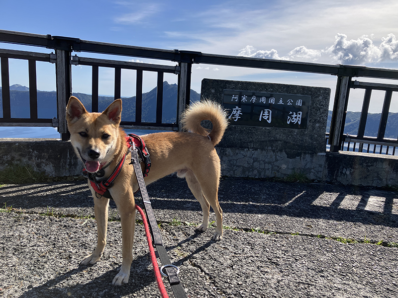 2025年度 北海道版 ガチャピンズラリー達成者