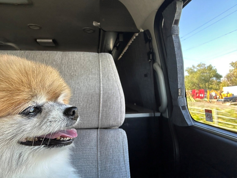 2025年度 北海道版 ガチャピンズラリー達成者