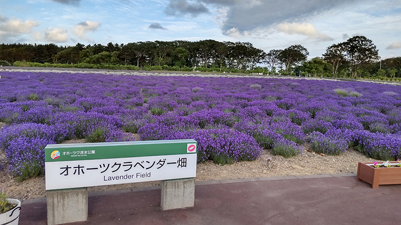 2025年度 北海道版 ガチャピンズラリー達成者
