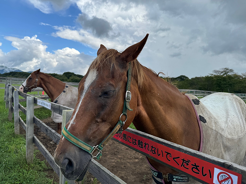 2025年度 北海道版 ガチャピンズラリー達成者