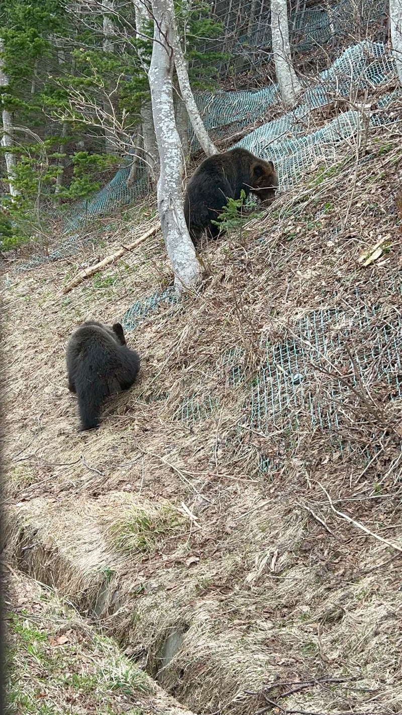 2025年度 北海道版 ガチャピンズラリー達成者