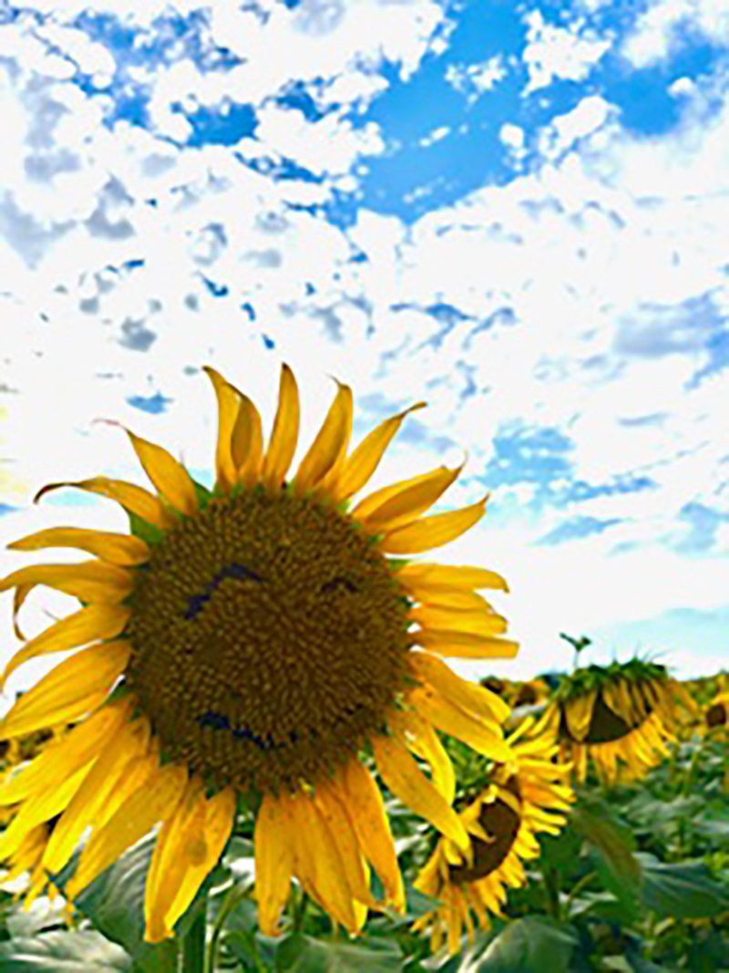 2025年度 北海道版 ガチャピンズラリー達成者