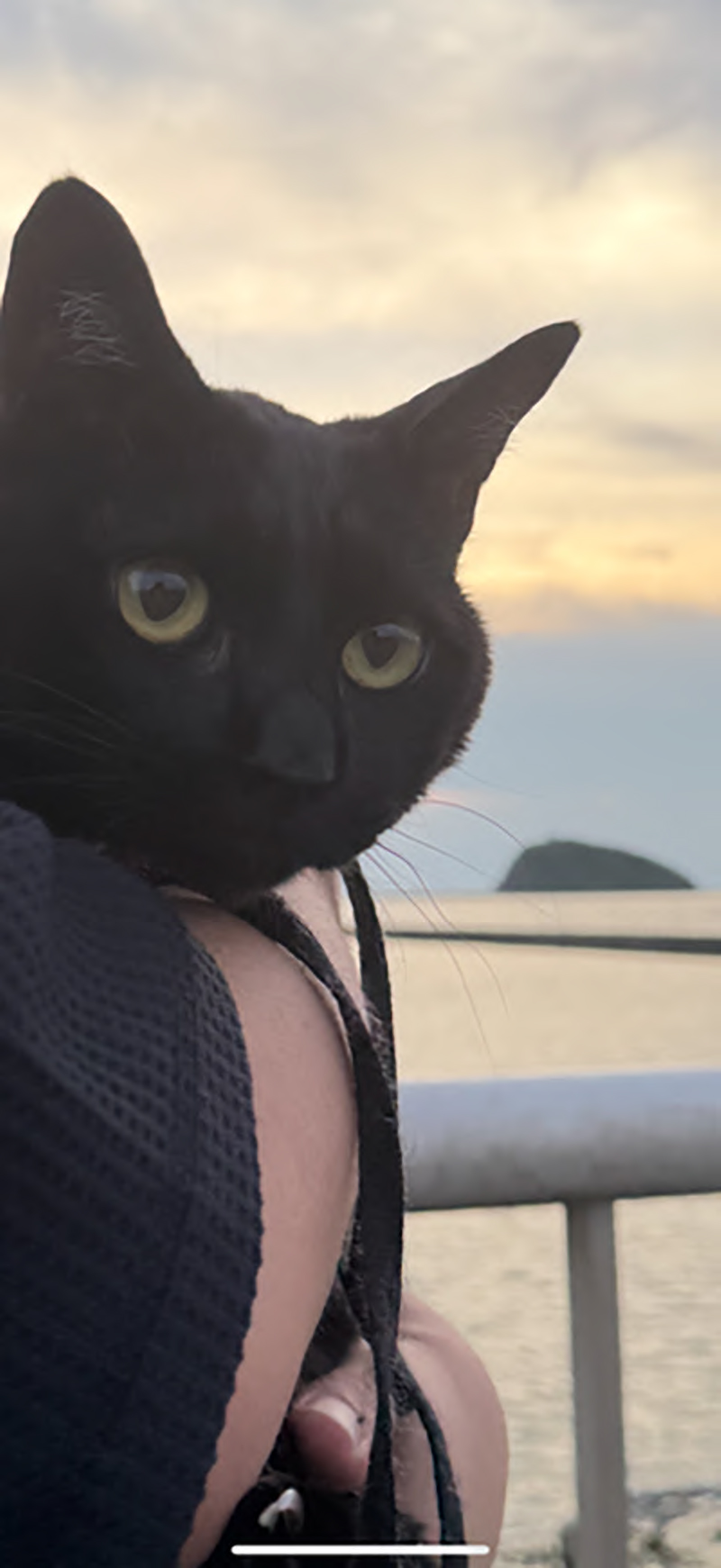 2025年度 北海道版 ガチャピンズラリー達成者