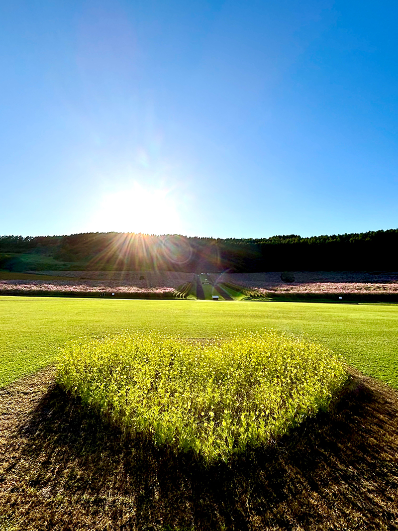 2025年度 北海道版 ガチャピンズラリー達成者