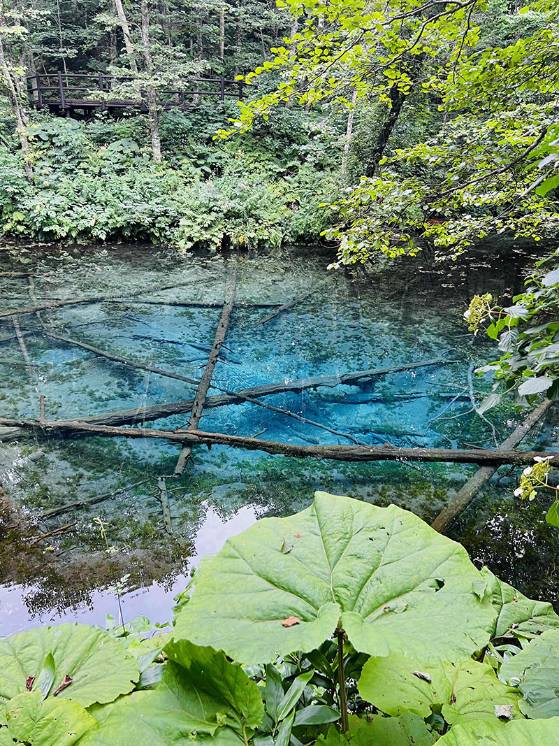 2025年度 北海道版 ガチャピンズラリー達成者