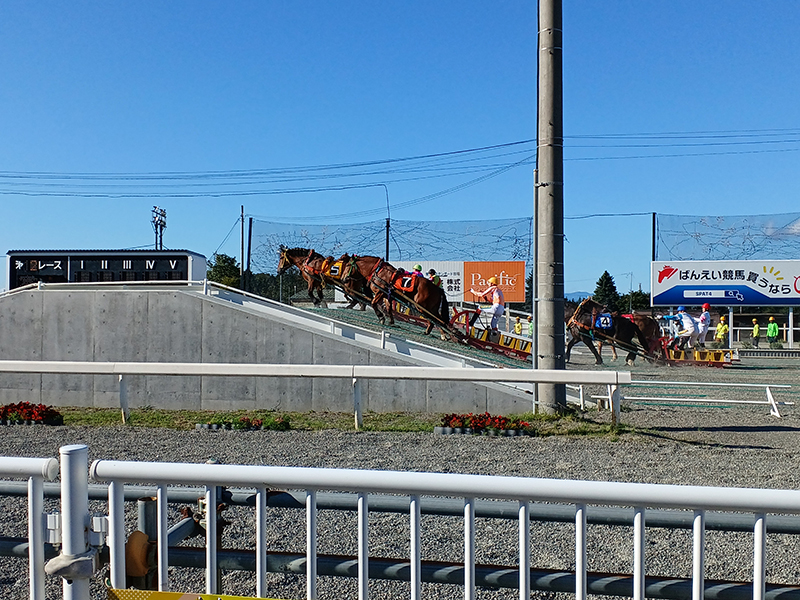 2025年度 北海道版 ガチャピンズラリー達成者