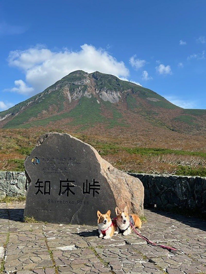 2025年度 北海道版 ガチャピンズラリー達成者