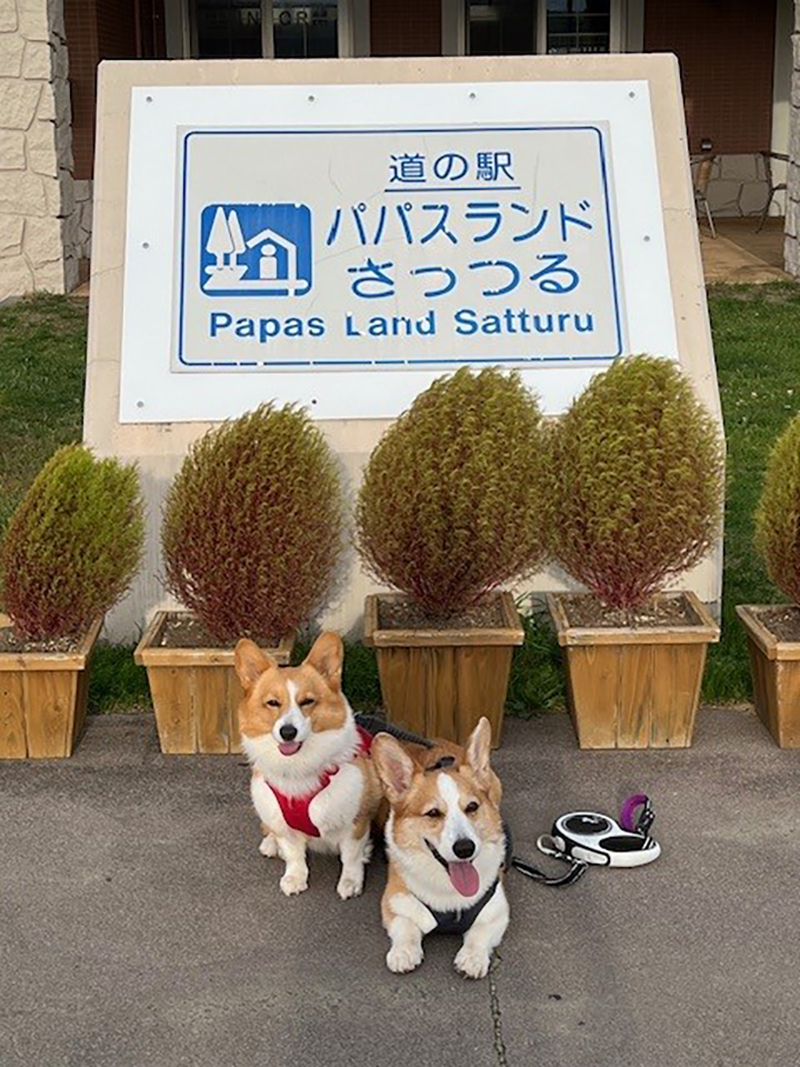 2025年度 北海道版 ガチャピンズラリー達成者