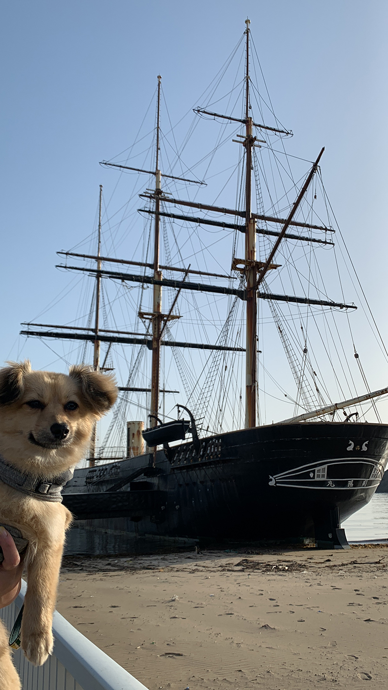 2025年度 北海道版 ガチャピンズラリー達成者