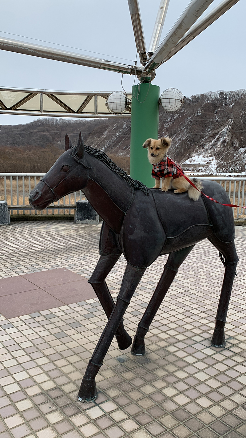 2025年度 北海道版 ガチャピンズラリー達成者