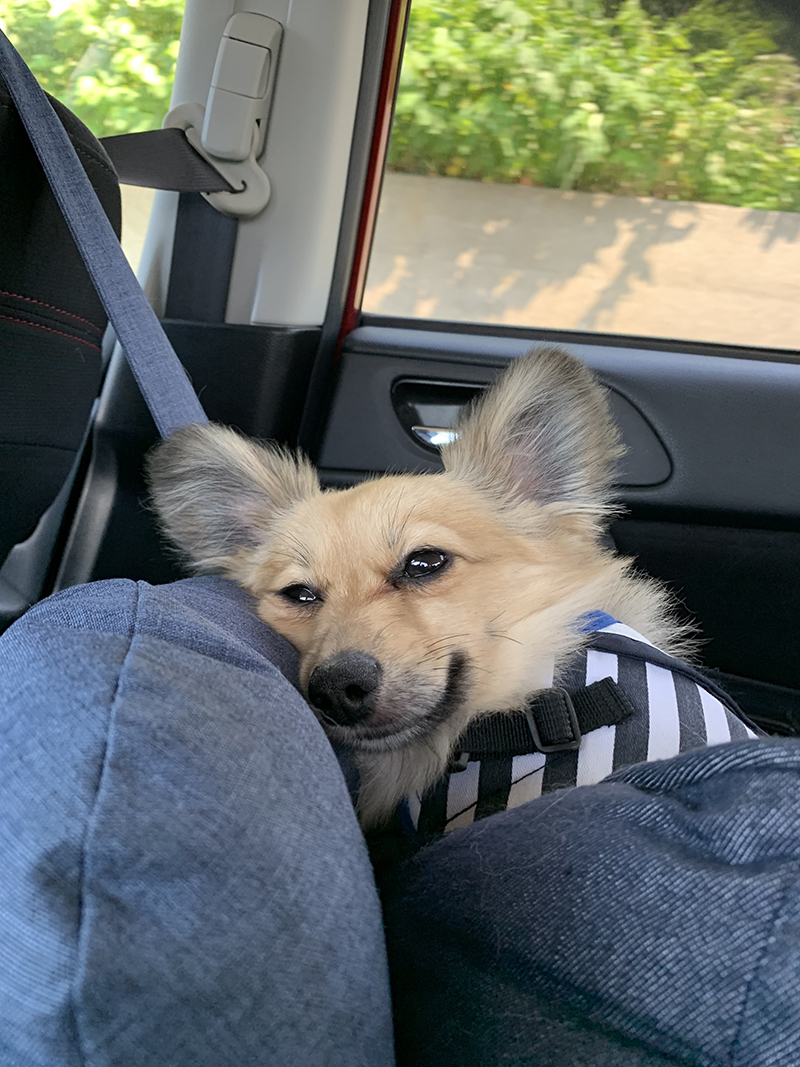 2025年度 北海道版 ガチャピンズラリー達成者