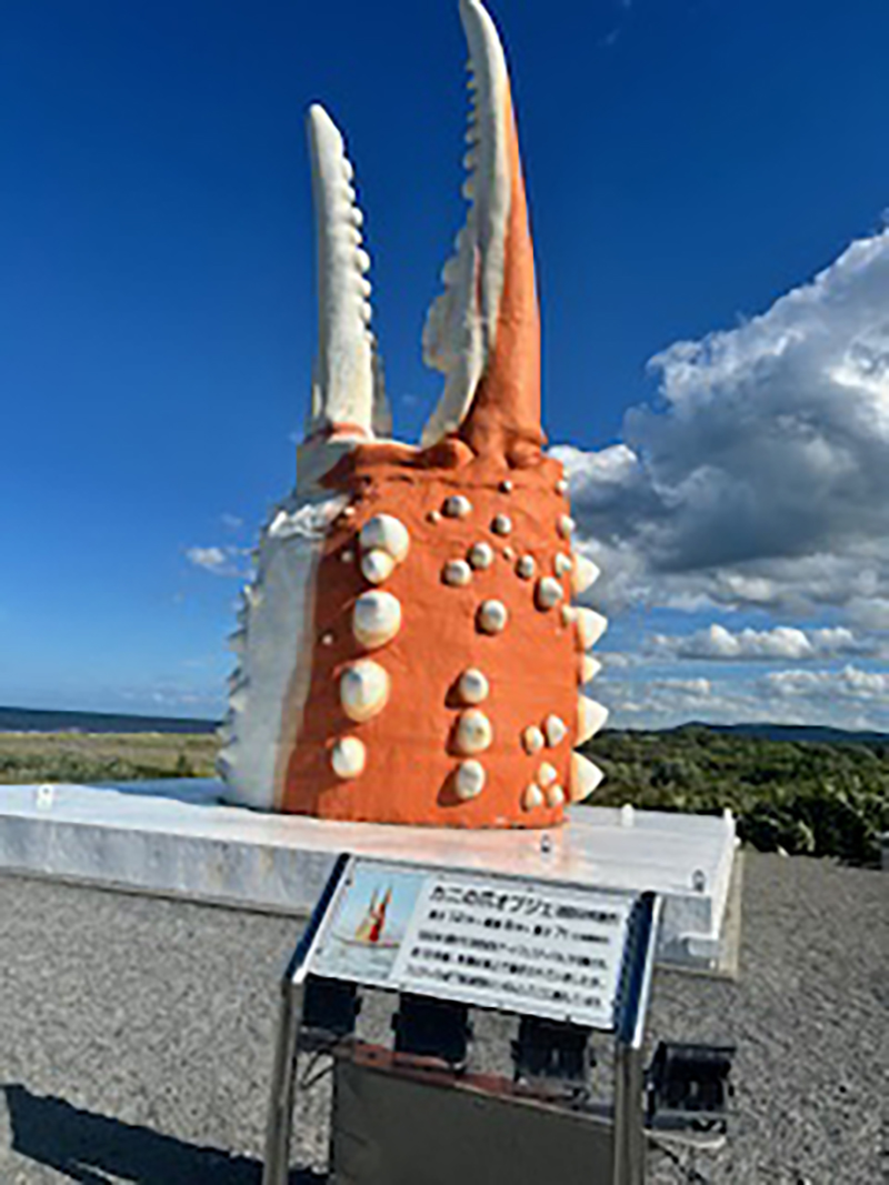 2025年度 北海道版 ガチャピンズラリー達成者