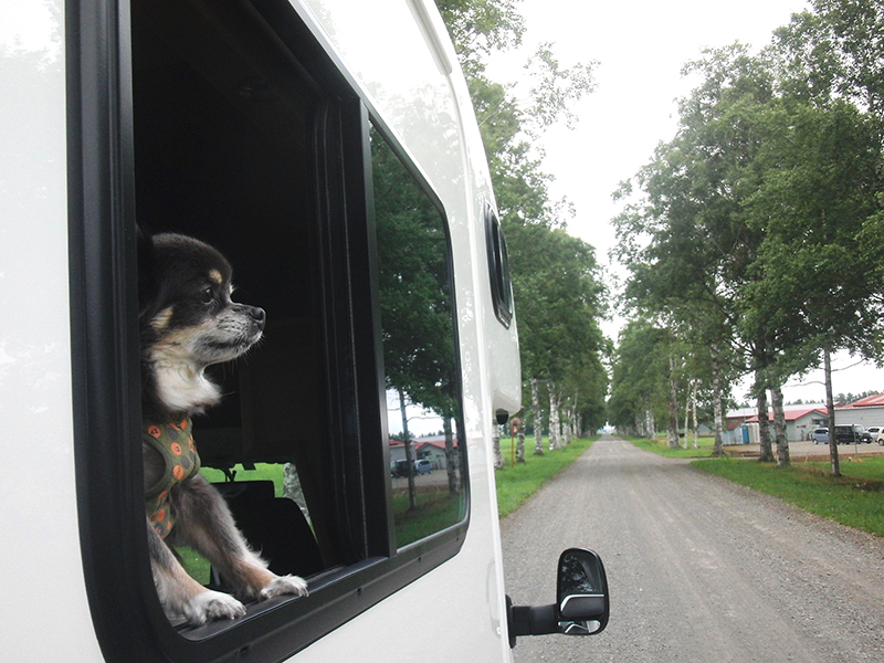 2025年度 北海道版 ガチャピンズラリー達成者