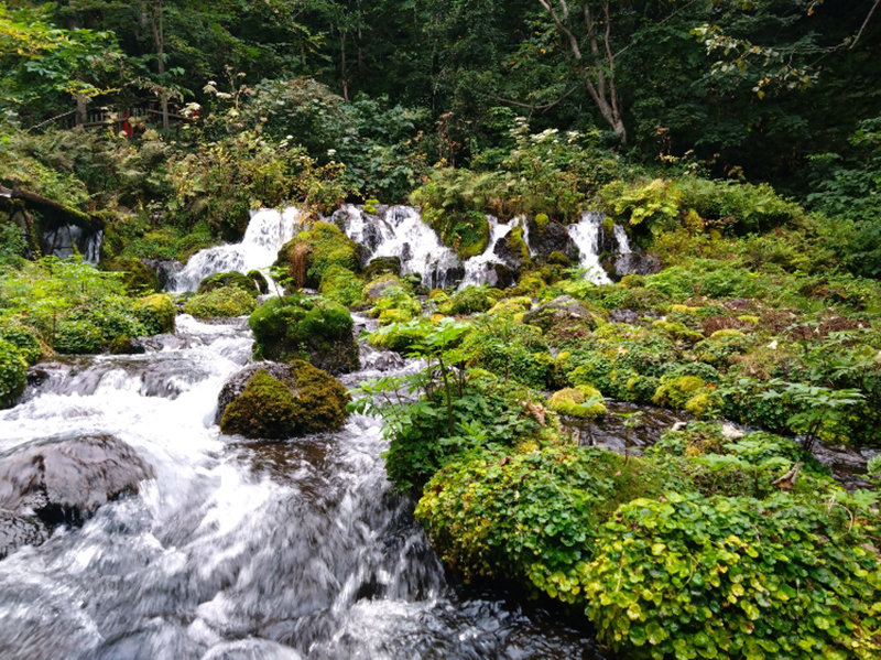 2025年度 北海道版 ガチャピンズラリー達成者