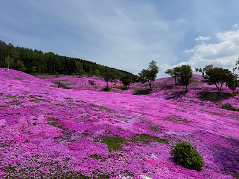 2025年度 北海道版 ガチャピンズラリー達成者