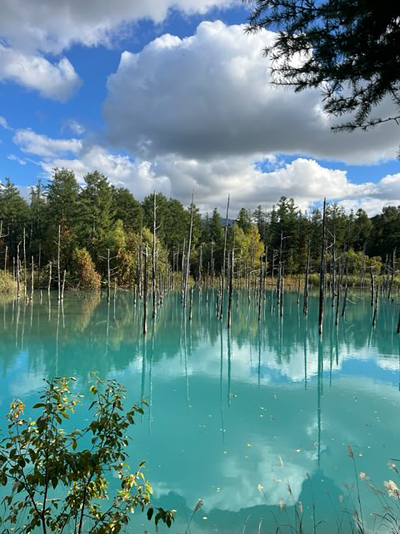 2025年度 北海道版 ガチャピンズラリー達成者