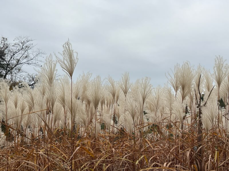 2025年度 北海道版 ガチャピンズラリー達成者