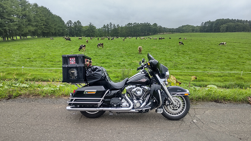 2025年度 北海道版 ガチャピンズラリー達成者