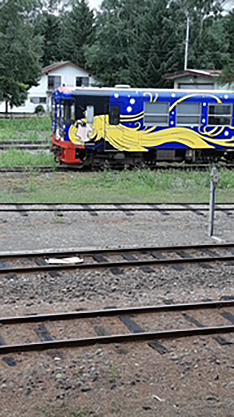 2025年度 北海道版 ガチャピンズラリー達成者