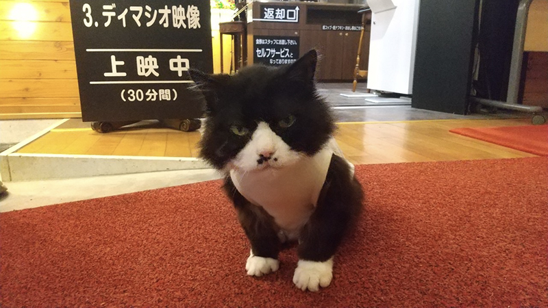 2025年度 北海道版 ガチャピンズラリー達成者