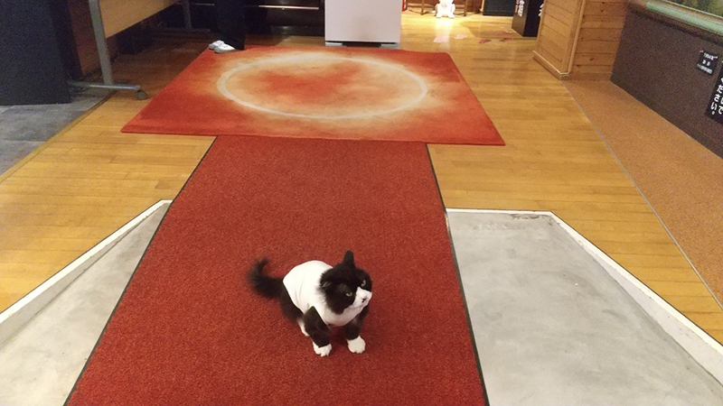 2025年度 北海道版 ガチャピンズラリー達成者