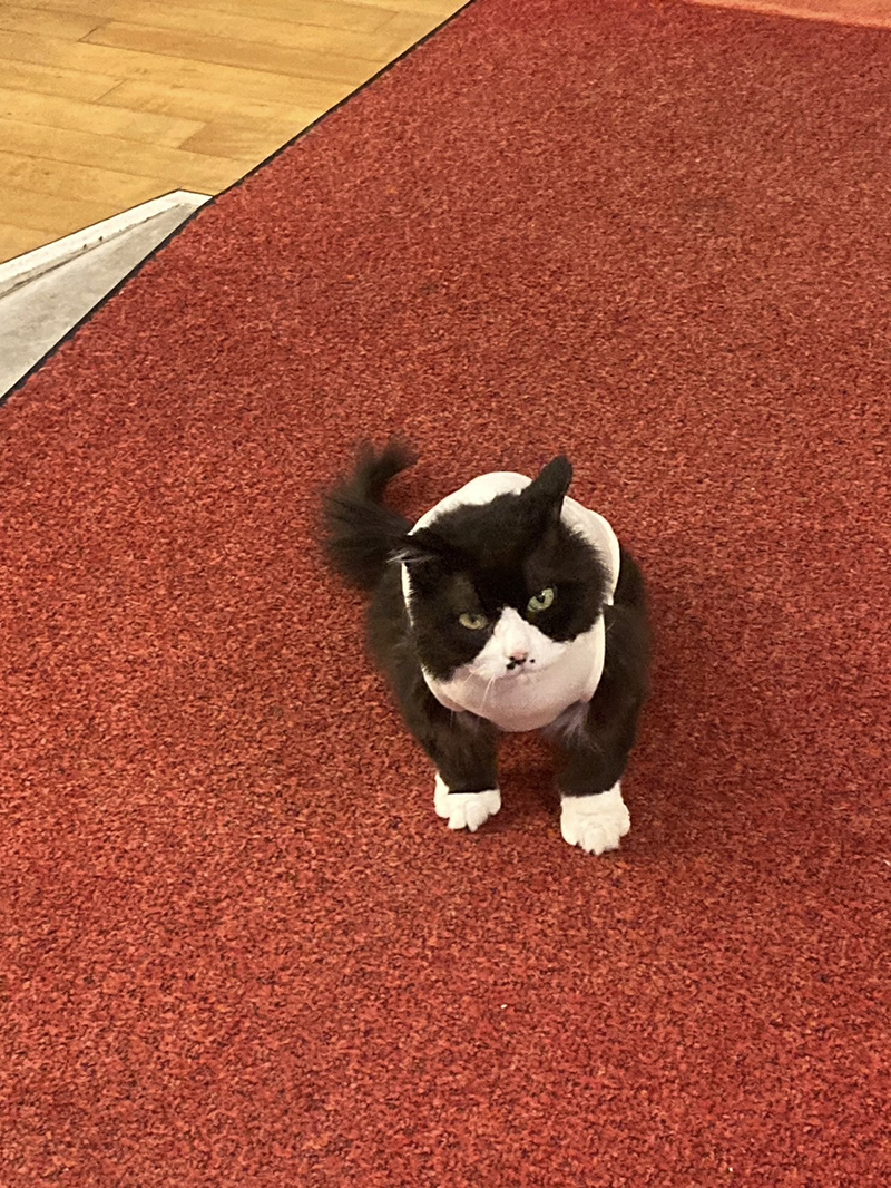 2025年度 北海道版 ガチャピンズラリー達成者