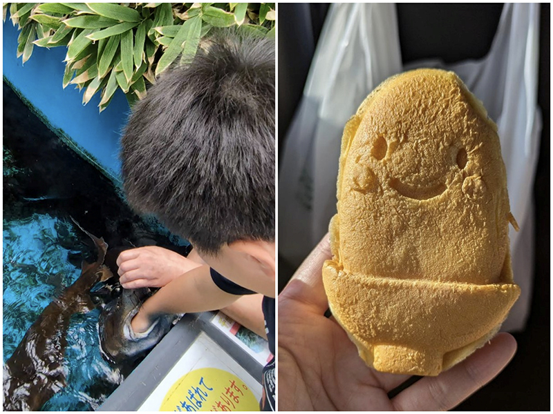 2025年度 北海道版 ガチャピンズラリー達成者