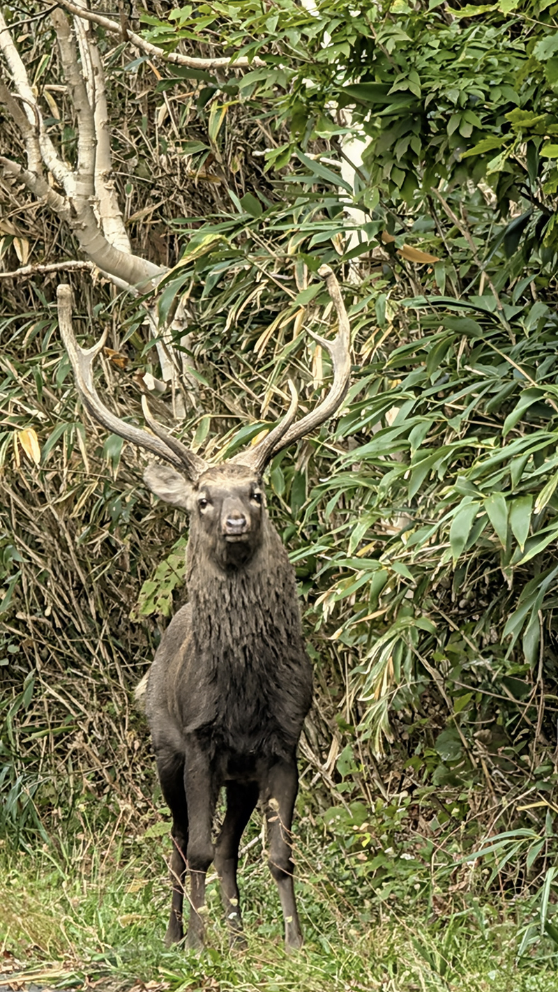2025年度 北海道版 ガチャピンズラリー達成者
