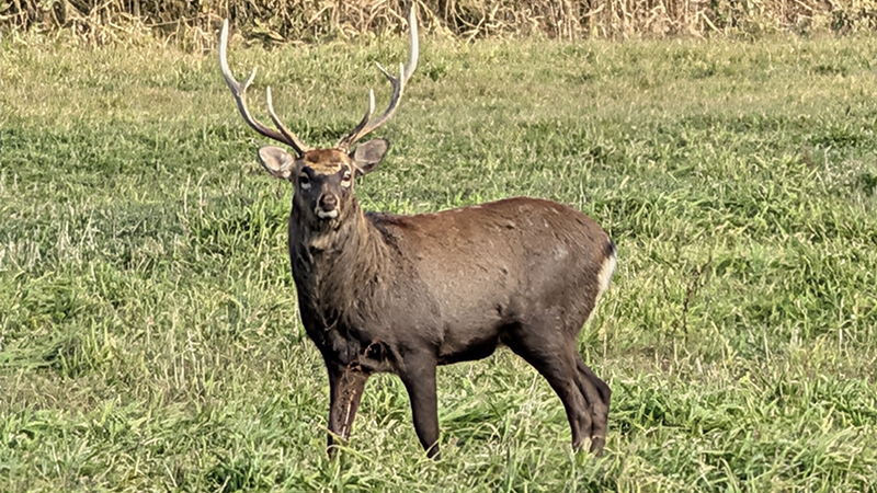 2025年度 北海道版 ガチャピンズラリー達成者